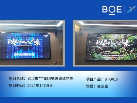 潛江武漢市**集團(tuán)會(huì)議室BTQ015安裝調(diào)試完畢