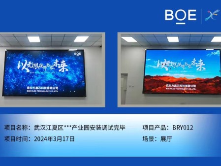 潛江武漢江夏區(qū)**產(chǎn)業(yè)園展廳BRY012安裝調(diào)試完畢