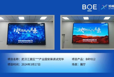 武漢江夏區(qū)**產(chǎn)業(yè)園展廳BRY012安裝調(diào)試完畢