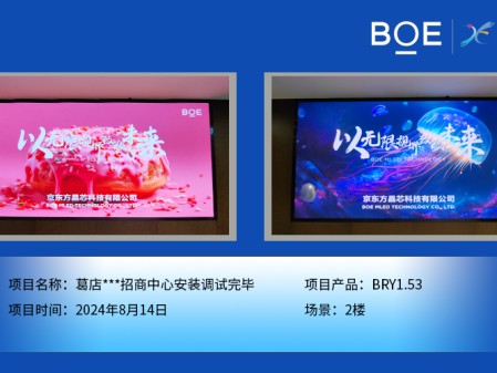 湖北葛店***招商中心安裝調(diào)試完畢