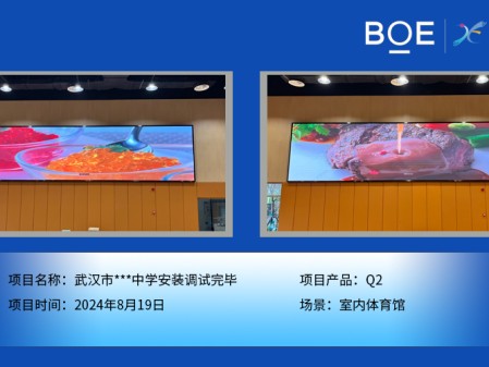 湖北武漢市***中學(xué)安裝調(diào)試完畢