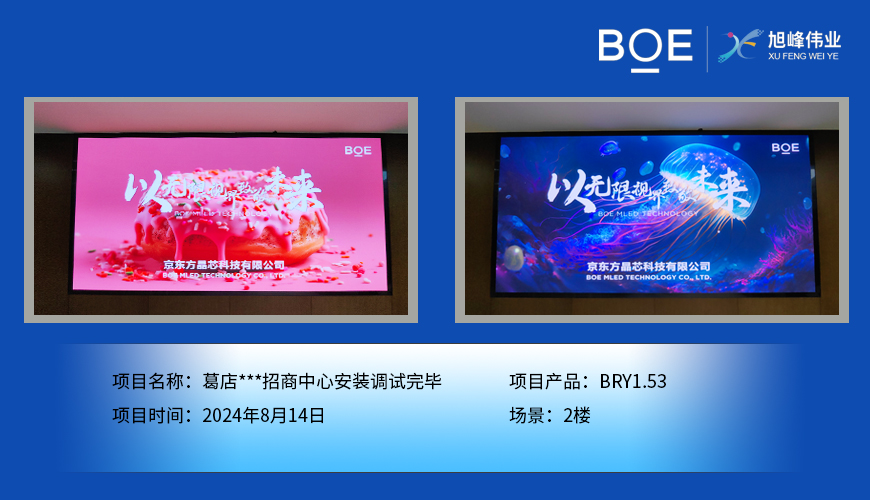 湖北葛店***招商中心安裝調(diào)試完畢